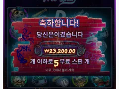 도그 이거 먹고 뭐하노