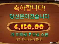 개집 폐업