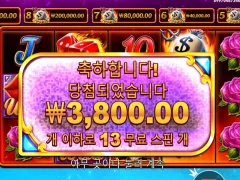 온라인슬롯 데빌리셔스 13스핀 암담한 결과 잠이나 자야겠다