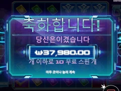 사이버 헤이스트 10스핀 힘 좀 써주라