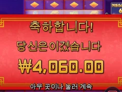 프라그마틱 플로팅  드래곤 존버하자