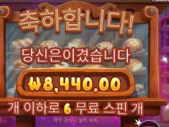 와일드지 6스핀 평타 후기