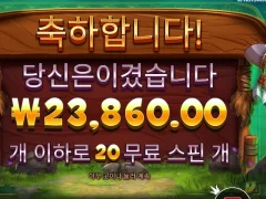 바이슨 20스핀 후기