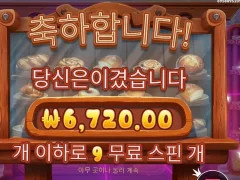 와일디즈 9스핀 너무하잖아