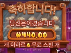 온라인슬롯 와일디즈 6스핀 바닥