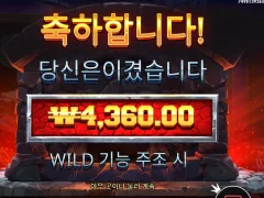 프라그마틱 포징 와일드 암울하다