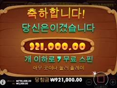 도그하우스 주말 마무리