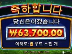 온라인슬롯 로버스트라이크 8스핀 후기