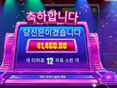 프라그마틱 라이프리워즈 12스핀 낫배드