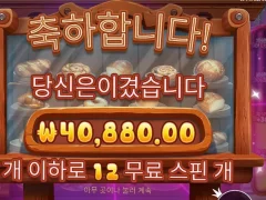 와일디즈 12스핀 정신차렸나 이제