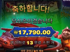 드워프앤드래곤 13스핀 접어야겠다