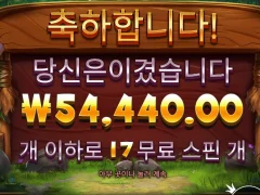 릴리즈 더 바이슨 17스핀 아숩다