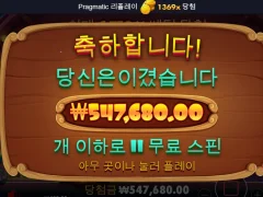 도그하우스 11스핀 터졌다 드디어