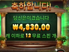 히로익 12스핀 바닥..