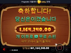 도그하우스 600배 인증