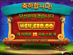 래빗가든 분발