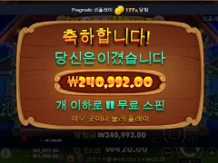 도그하우스 개집 내가 업그레이드 해준다