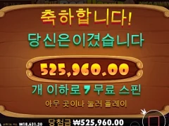 취침전 슬롯은 킹정 도그하우스 고맙다