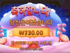 스위트킹덤 12스핀 바닥 후기