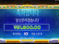 피라미드 10스핀 감자함