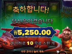 슬롯 드워프앤드래곤 10스핀 점심값도 안나온다