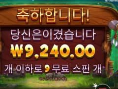 릴리즈더바이슨 슬롯 9스핀 재밌네