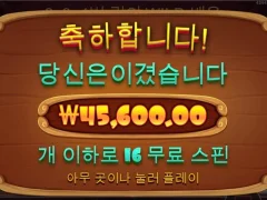 도그하우스 16스핀 조금만 더..