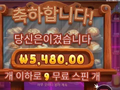 와일디즈 9스핀 늘 바닥만 핥고가네