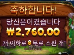 8스핀 바닥 ㅇㅈ 릴리즈 더 바이슨
