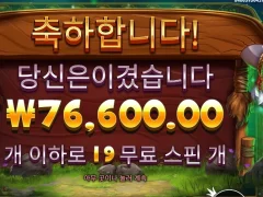 릴리즈바이슨 19스핀 맛점하세요