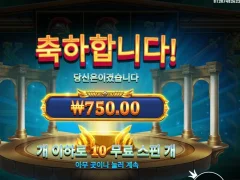 메두사스톤 10스핀 바닥 인증이요
