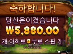 출근도 개같고 슬롯도 개같네 릴리즈더바이슨