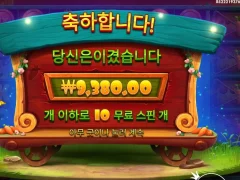 레빗가든 10스핀 1콩 감사요