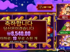 댄싱몽키 영원히 춤추고싶냐 제대로 해라