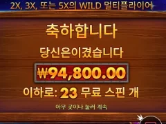 버팔로킹 23스핀 버팔로윙 만들어벌까