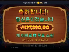 도그하우스 13스핀 나이스한 후기