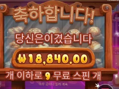 와일디즈 9스핀 평타