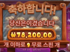 와일디즈 9스핀 약간 만족