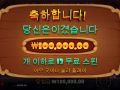 도그하우스 13스핀 숫자 깔끔하다