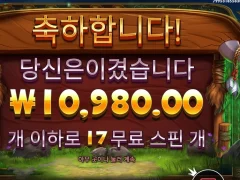 프라그마틱 릴리즈더바이슨 주말 아침부터 기분 잡치네