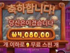 맛점하세요 저는 굶습니다 와일디즈때문에