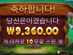 릴리즈 10스핀 1콩 ㅜㅜ.