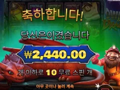 드워프앤드래곤 10스핀 바닥 후기