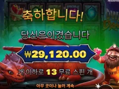 드워프앤드래곤 13스핀 본전치기