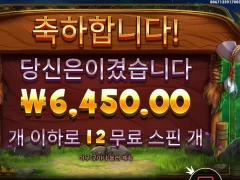 릴리즈더바이슨 12스핀 ㅈ망게임