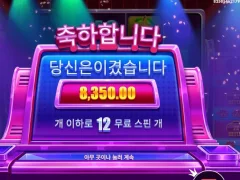 라이프리워즈 12스핀 잘 터진다매ㅜㅜ