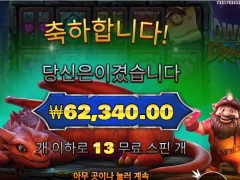 드워프앤드래곤 13스핀 본전