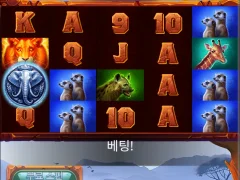 사바나후기