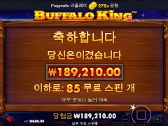 버팔로킹 85스핀 후기