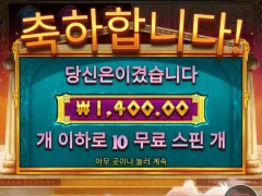 아테나의지혜 10스핀 바닥
